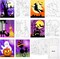 Citrus; 6 Pack Halloween Pre Drawn Canvas for Painting, 8x10 Inch Jack O Lantern Ghost Bat Witch Sketched Canvas Art Kit, Sip and Paint Party Supplies for Adults Kids, DIY Halloween Home Decor; Category:Canvas Painting Kits; Image:2